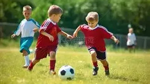 张恒在郑爽抚养权案中获子女抚养独立裁决