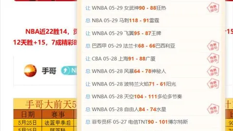 2026赛季备战PA真人互动：铁核转战343阵型，瓦吉奇或将被弃用